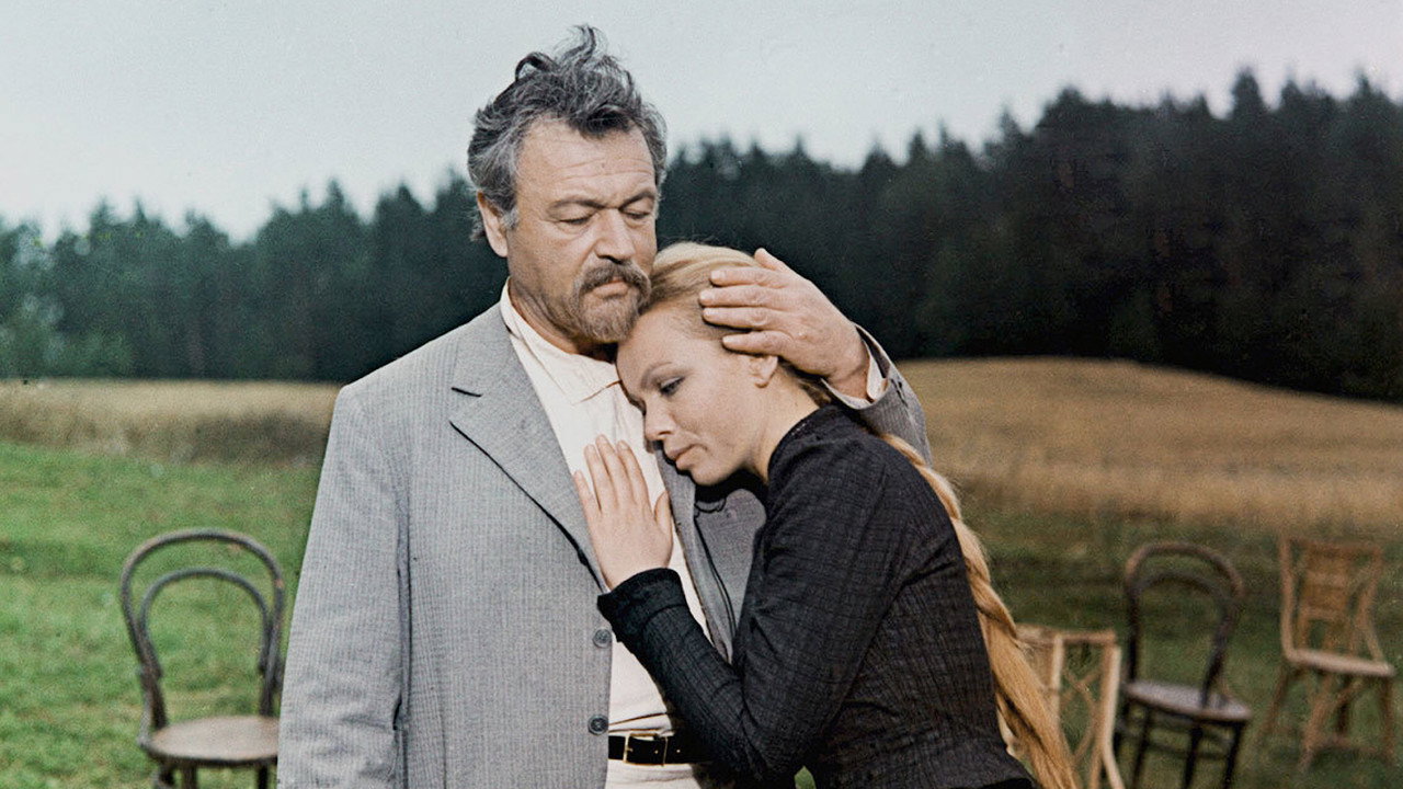 The Seagull backdrop