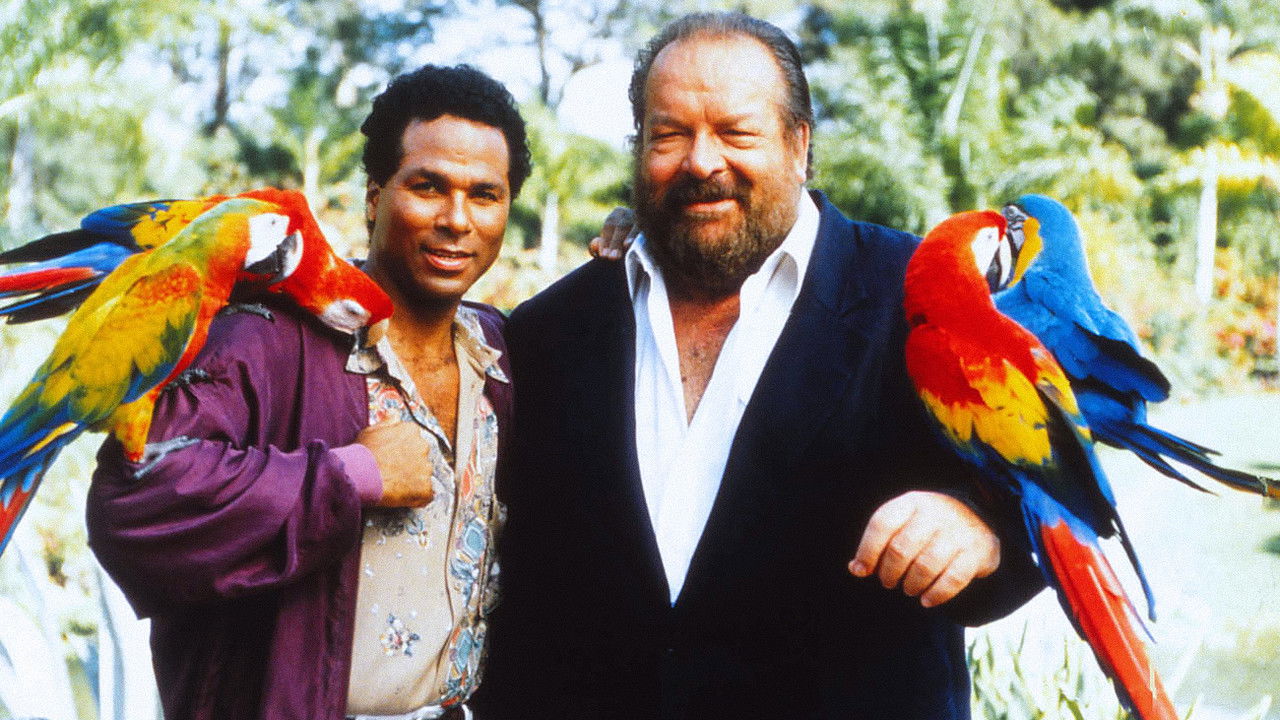 Detective Extralarge backdrop