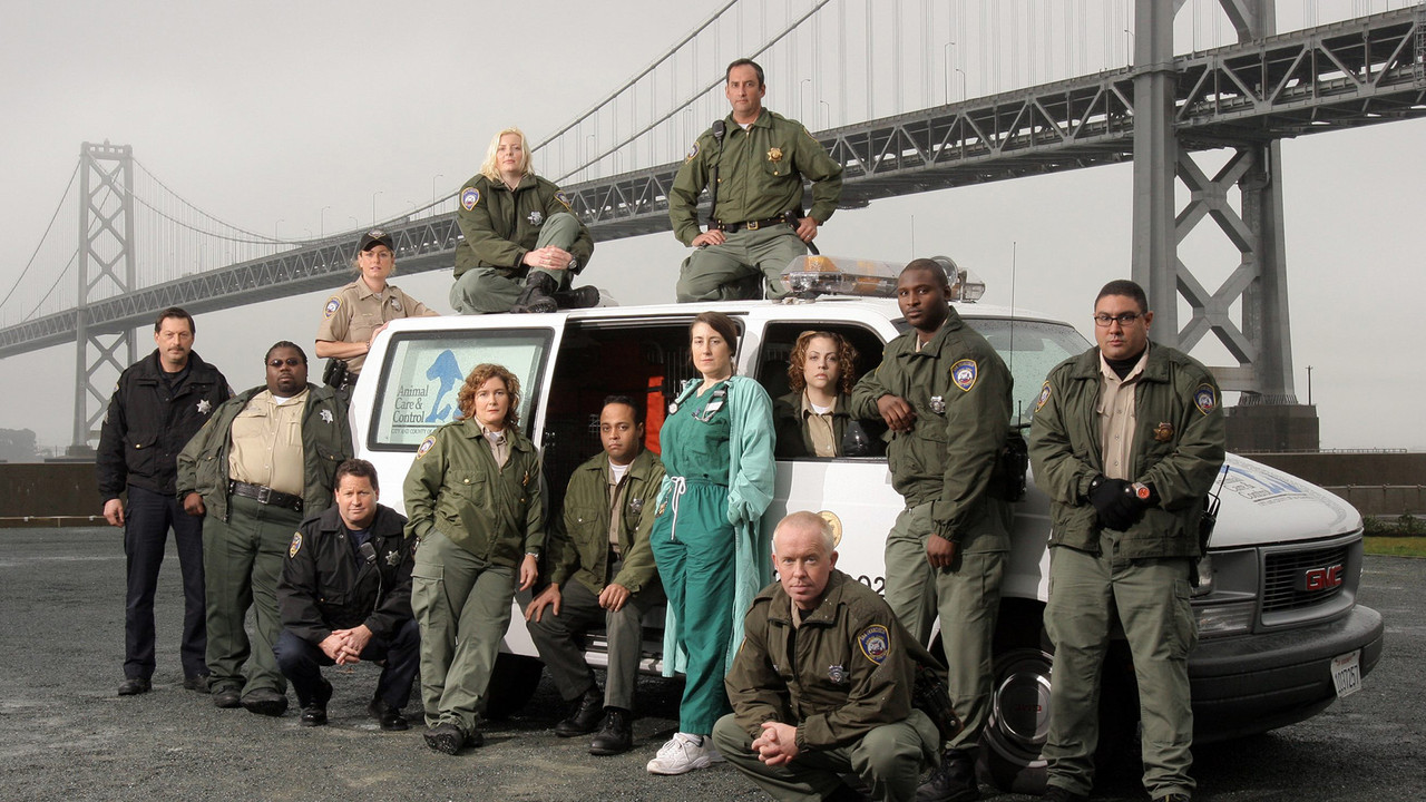 Animal Cops: San Francisco backdrop