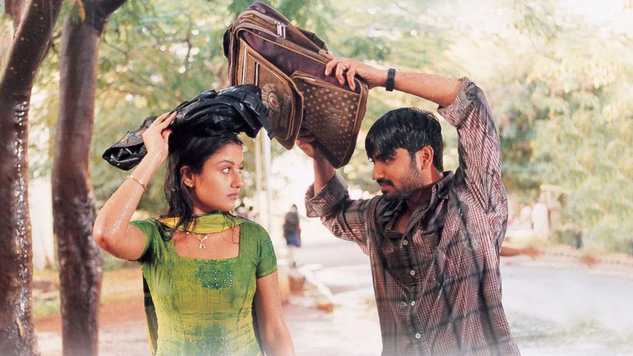 7G Rainbow Colony backdrop