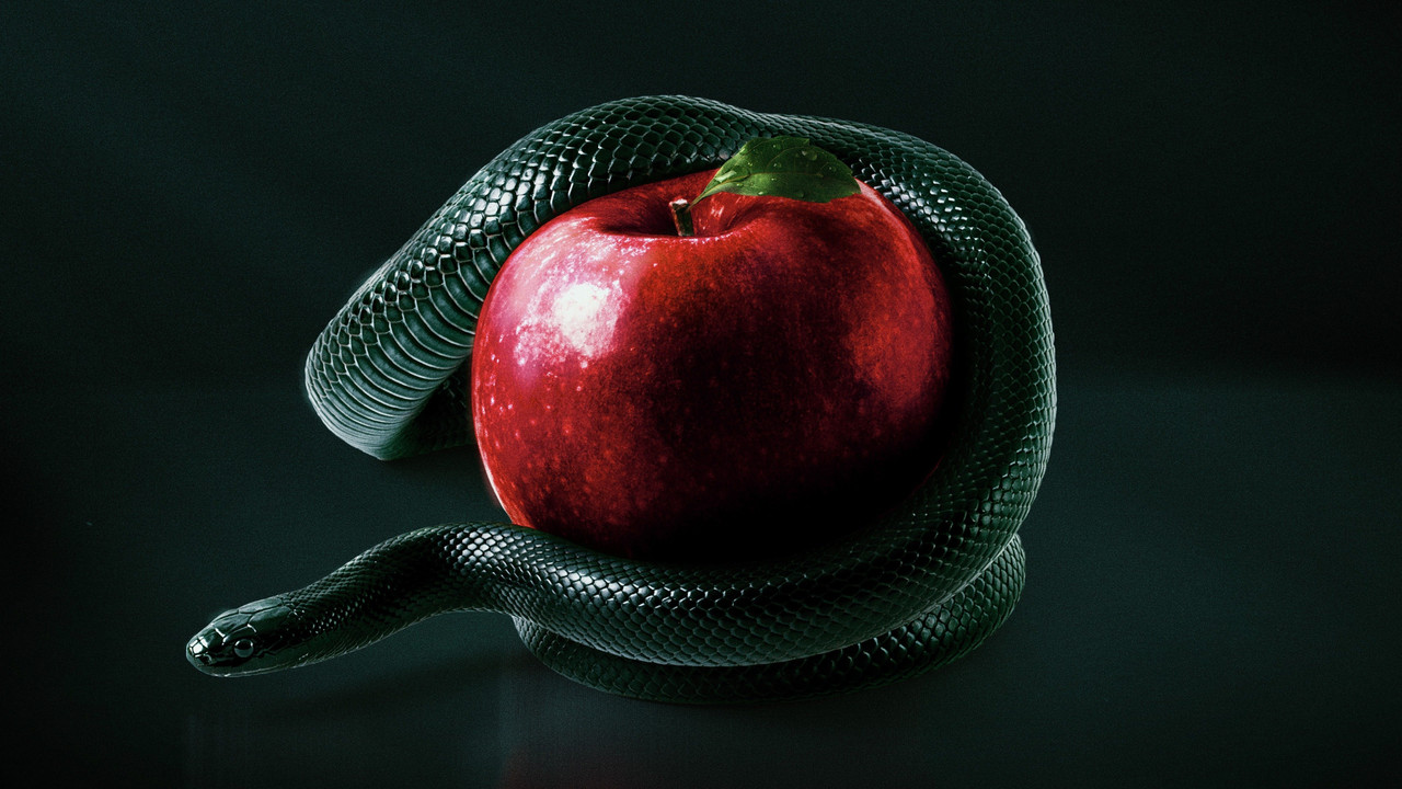 Bible Secrets Revealed backdrop