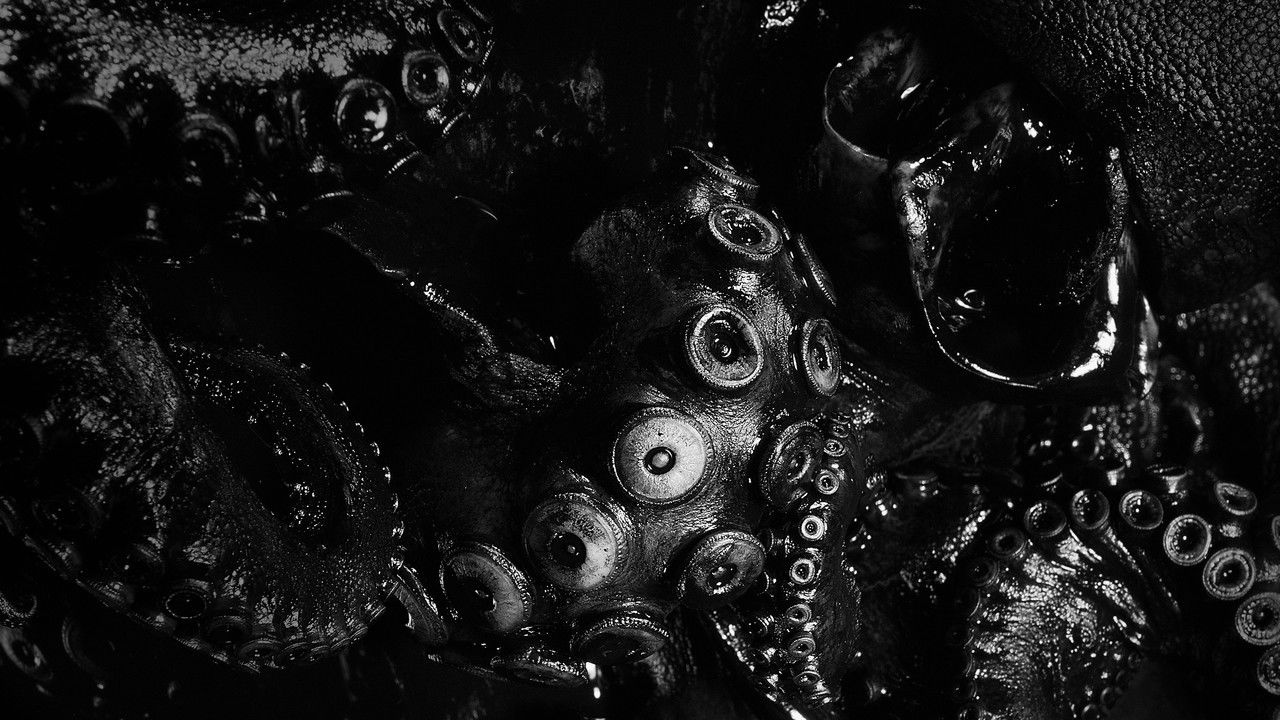 Monsters of The Abyss backdrop