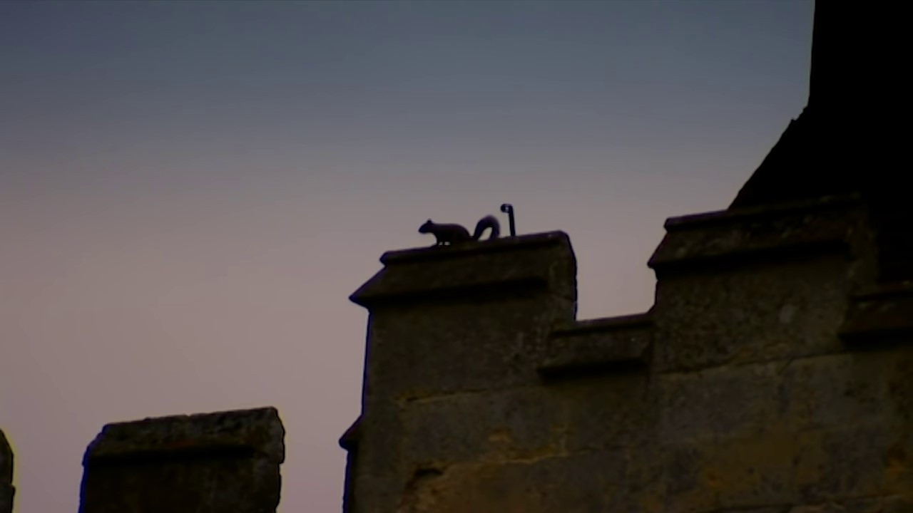 Crisis at the Castle backdrop