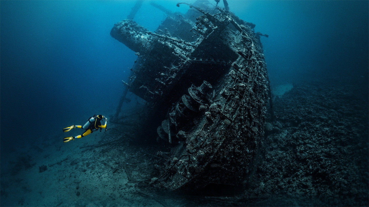 Deep Sea Detectives backdrop