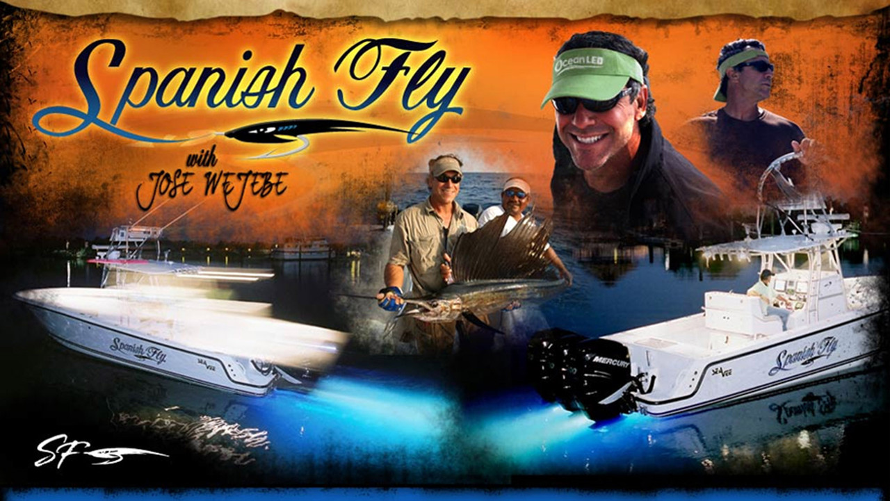 Spanish Fly backdrop