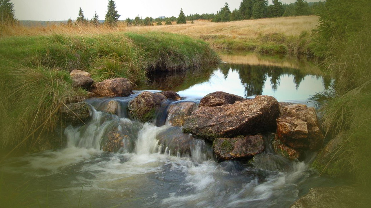 Tajný život skal backdrop