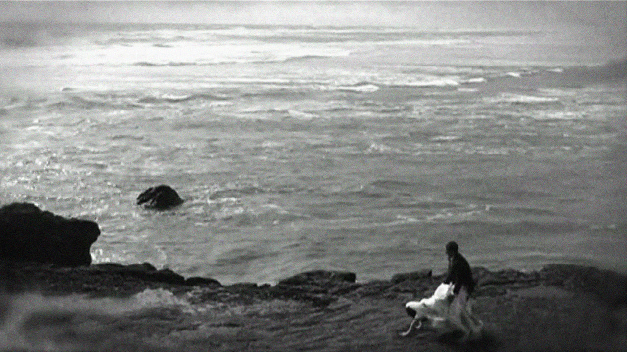 42 One Dream Rush backdrop