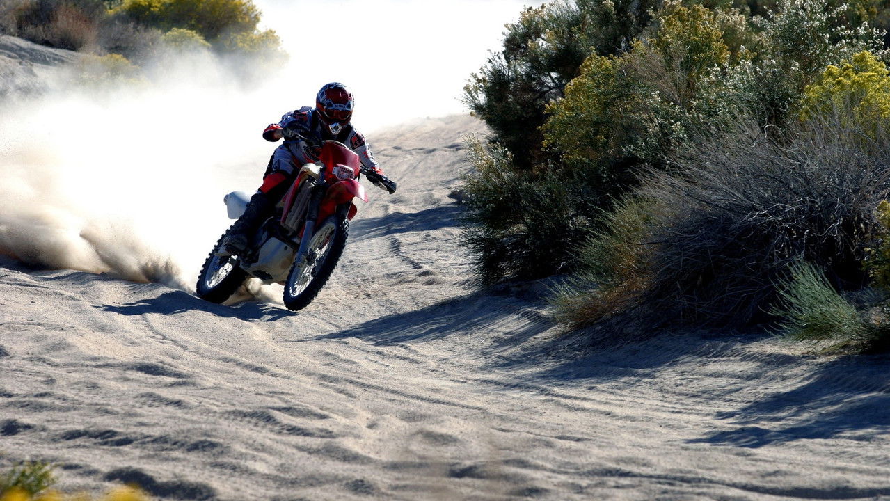 Dust to Glory backdrop