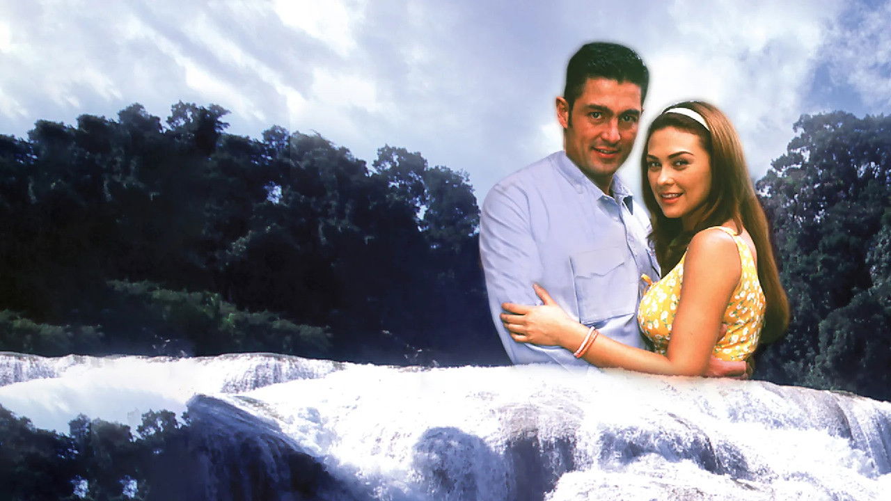 Embrace Me Tightly backdrop