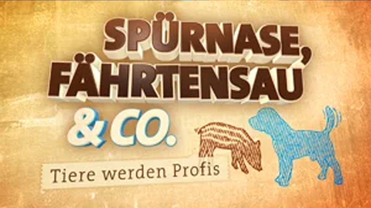 Spürnase, Fährtensau & Co. backdrop