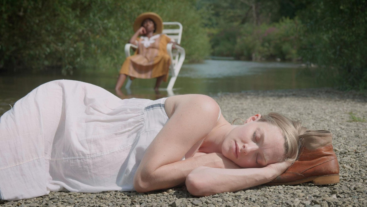 Birdwatching backdrop