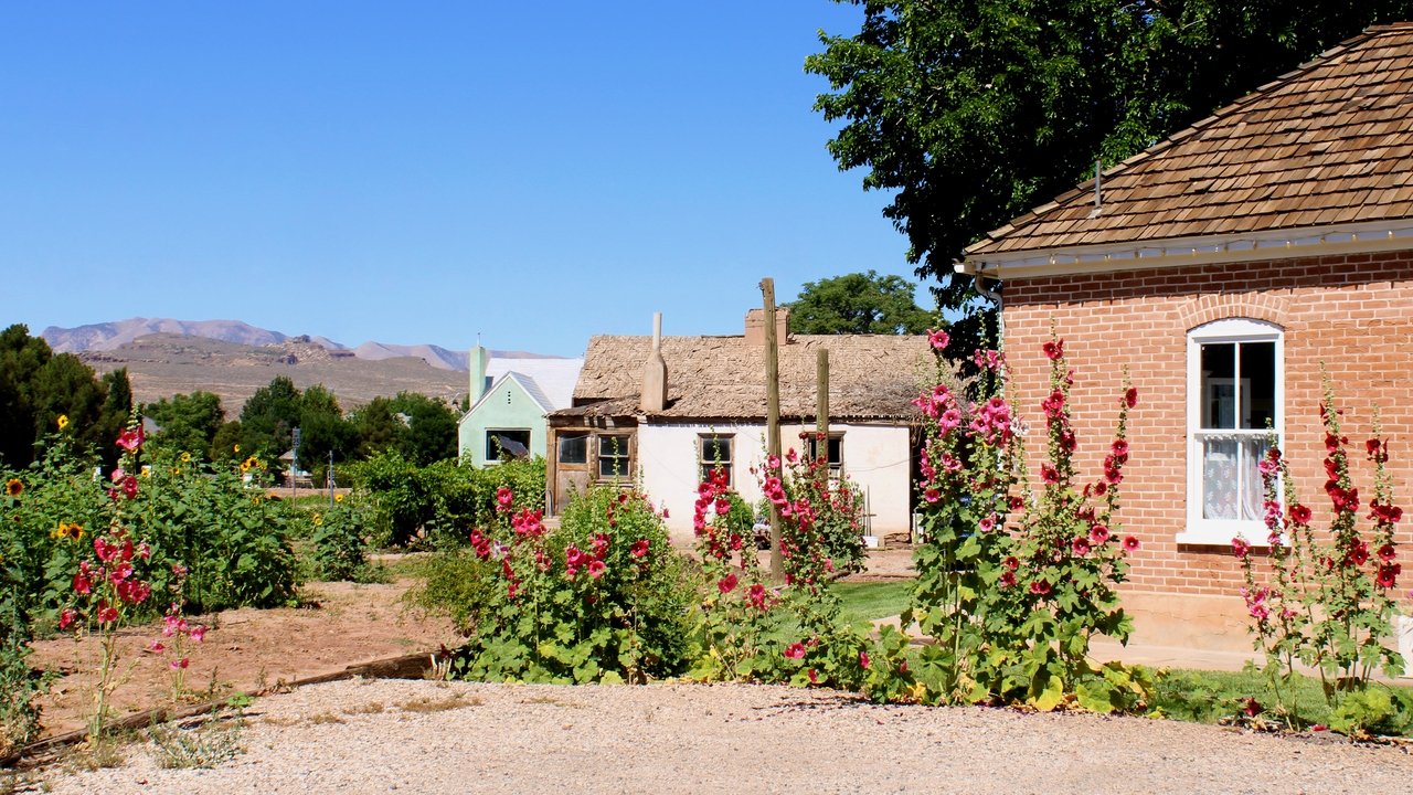 In With the Old backdrop
