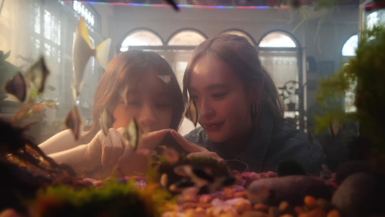 Love's Echoes backdrop