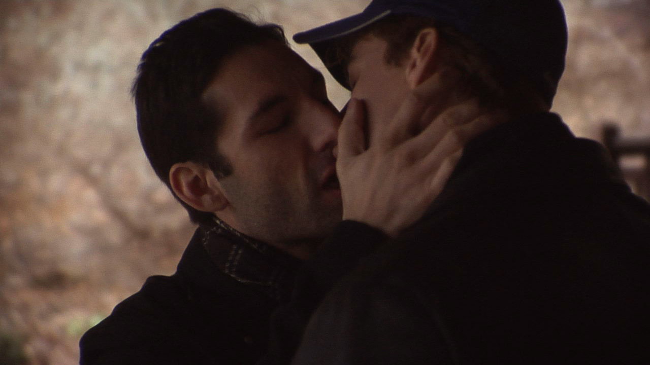 Flight of the Cardinal backdrop