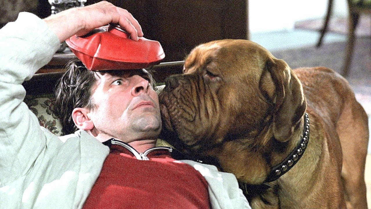 Grains and Dog backdrop