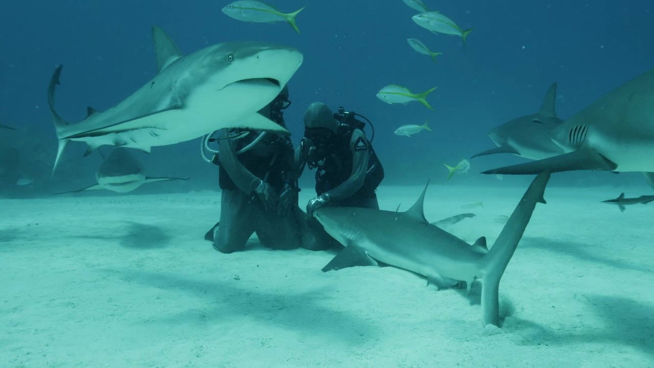 Bleu, un océan de solutions backdrop