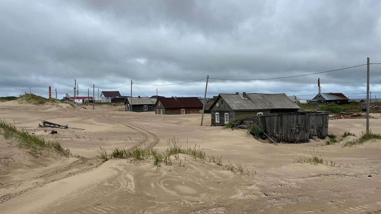 Sanding Dreams backdrop