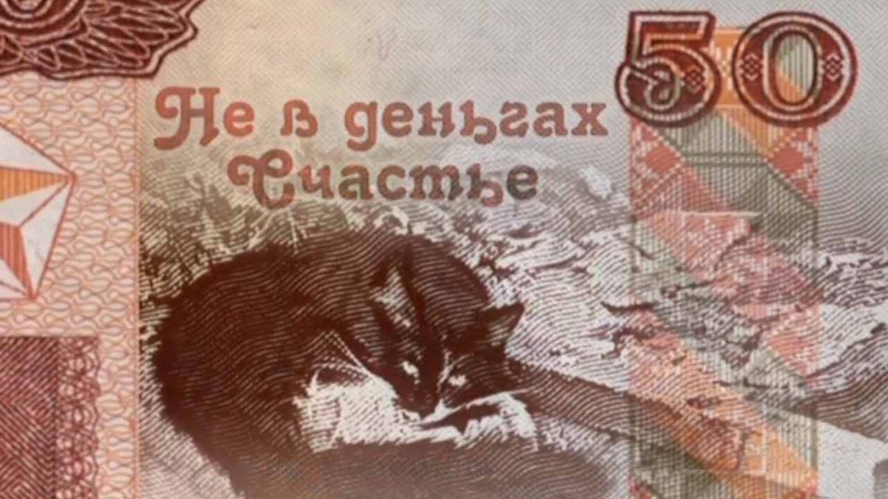 Не в деньгах счастье backdrop