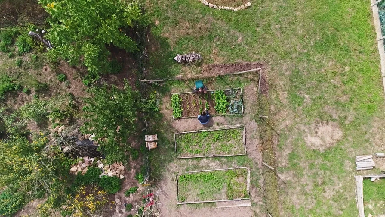 Potagers : Si on semait ! backdrop