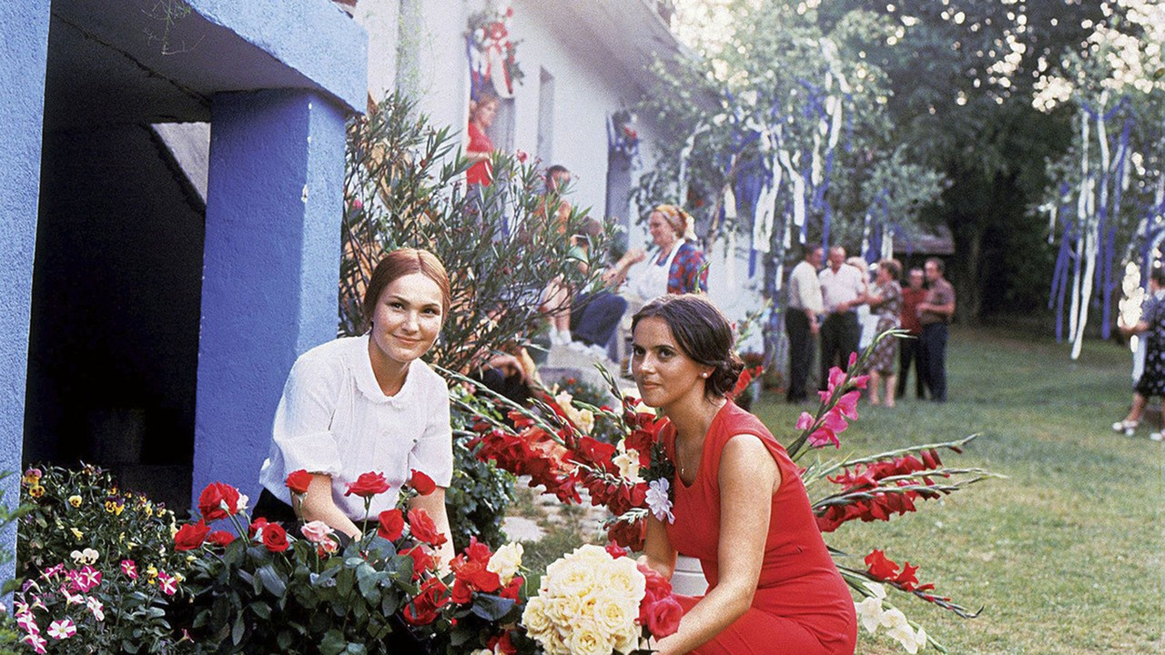 She Kept Asking for the Moon backdrop