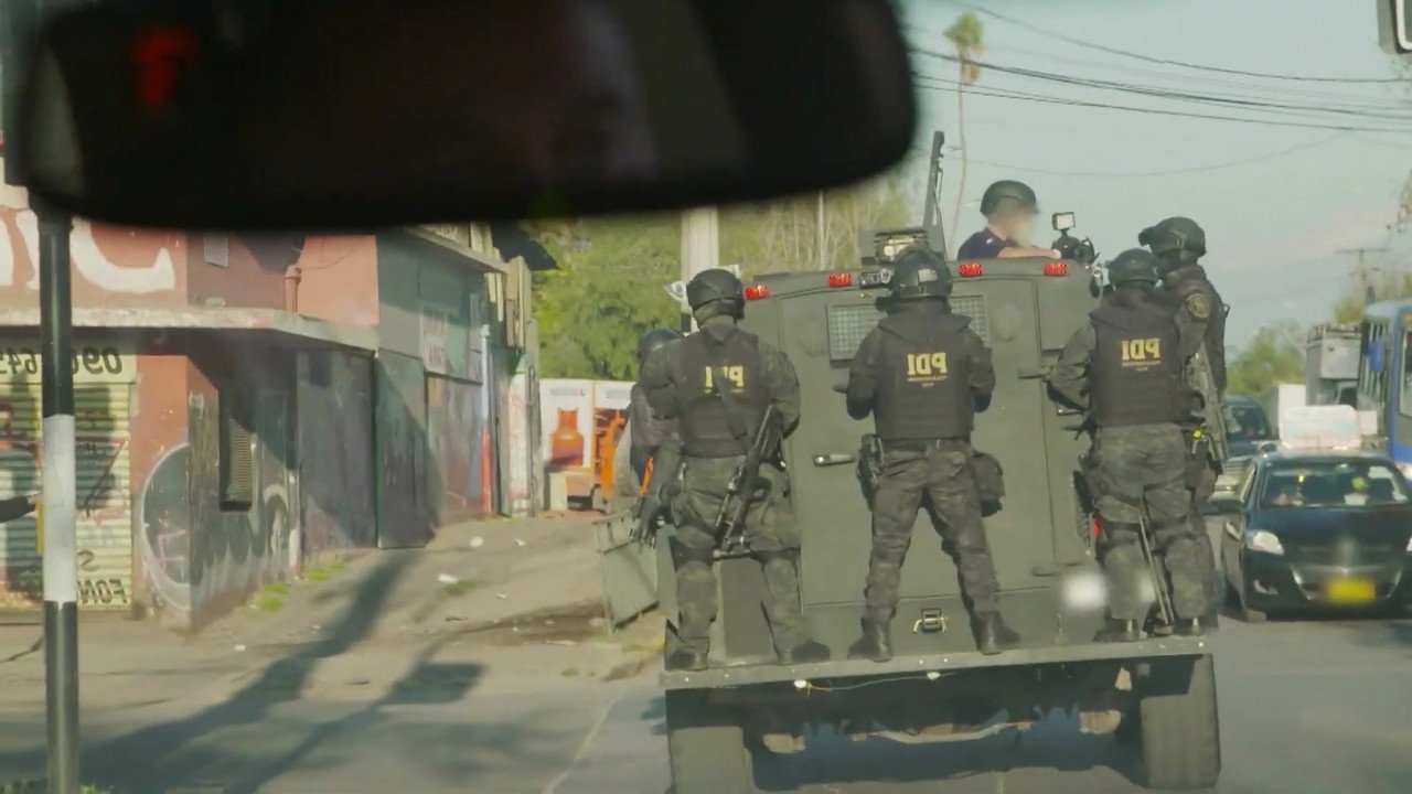 Alto! Frontera backdrop