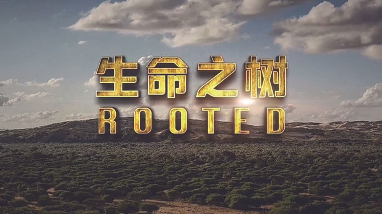 Rooted backdrop