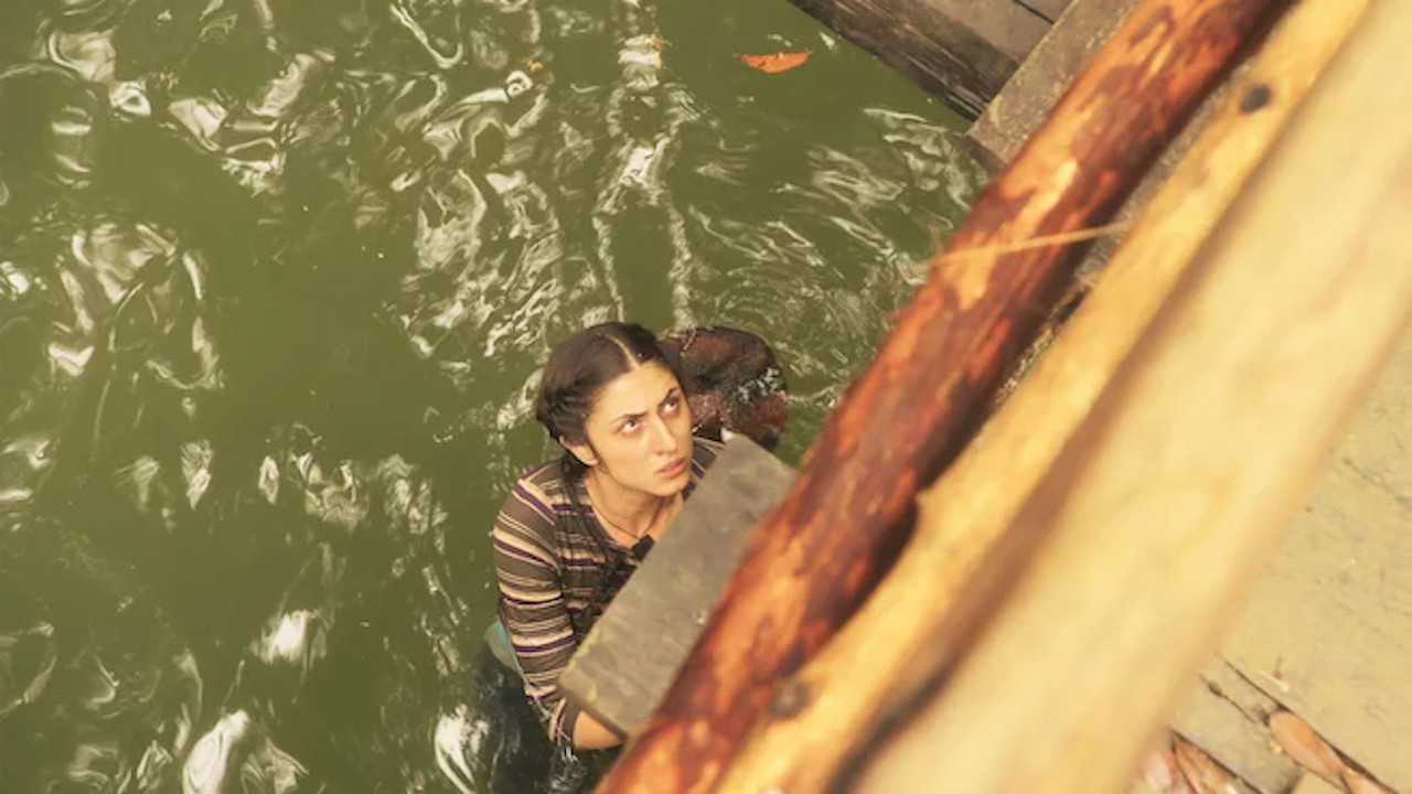 Undercover Law backdrop