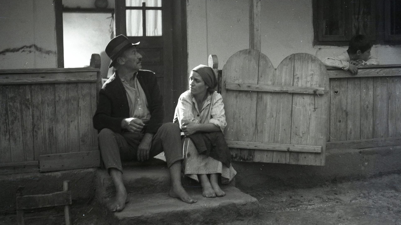 The Moromete Family backdrop