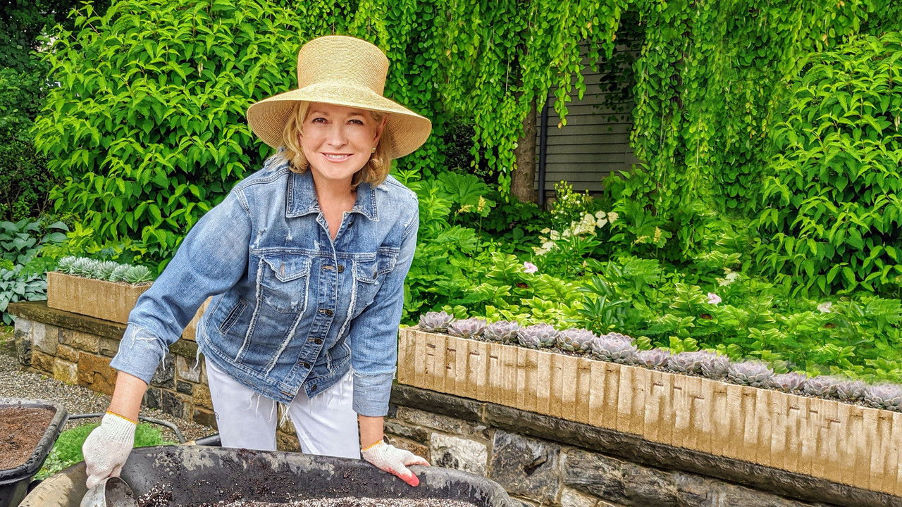 Martha Knows Best backdrop