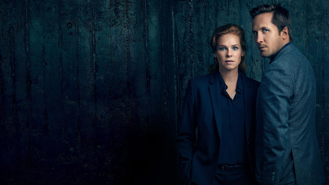 Sonderlage - Ein Hamburg-Krimi backdrop