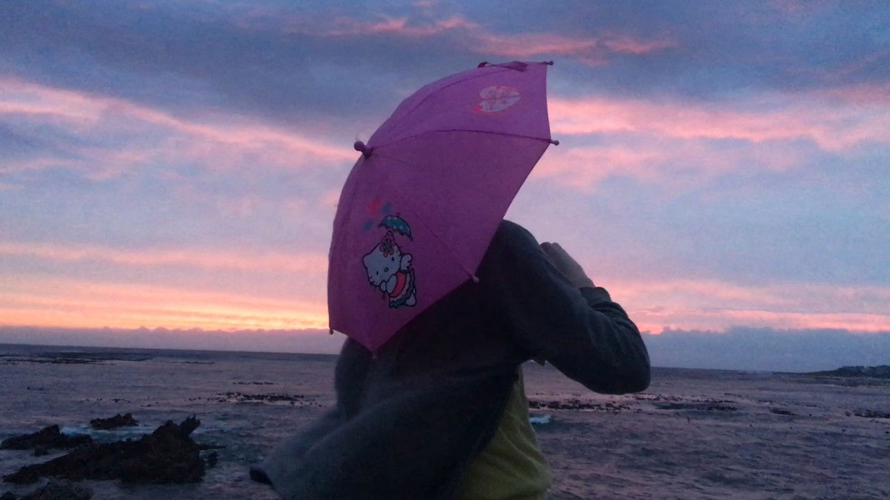 moments of the present past backdrop