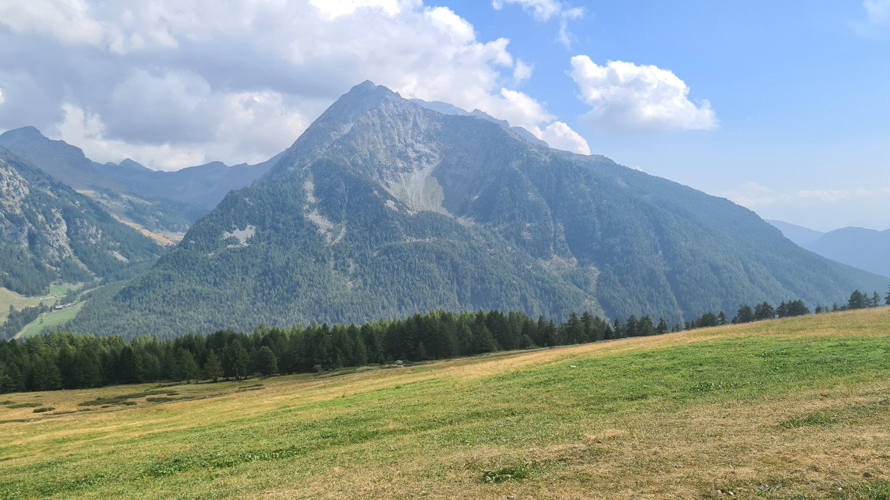 La Stella Del Parco backdrop