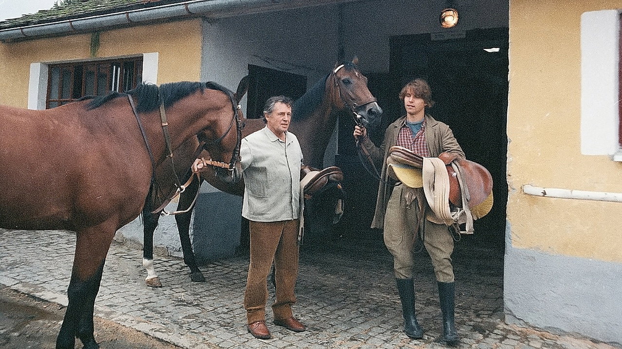 Obyčejná koňská historie backdrop