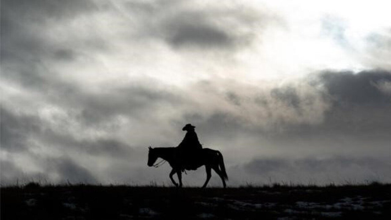 Bring on the Dancing Horses backdrop