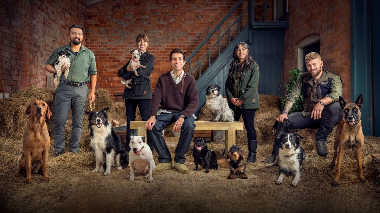 Bad Dog Academy backdrop