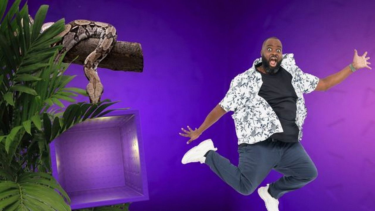 Les 100 vidéos qui ont fait rire le monde entier backdrop