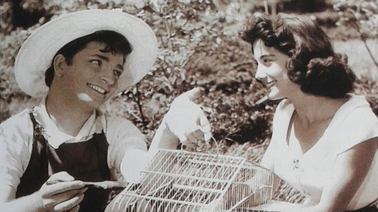 The Vagabond backdrop