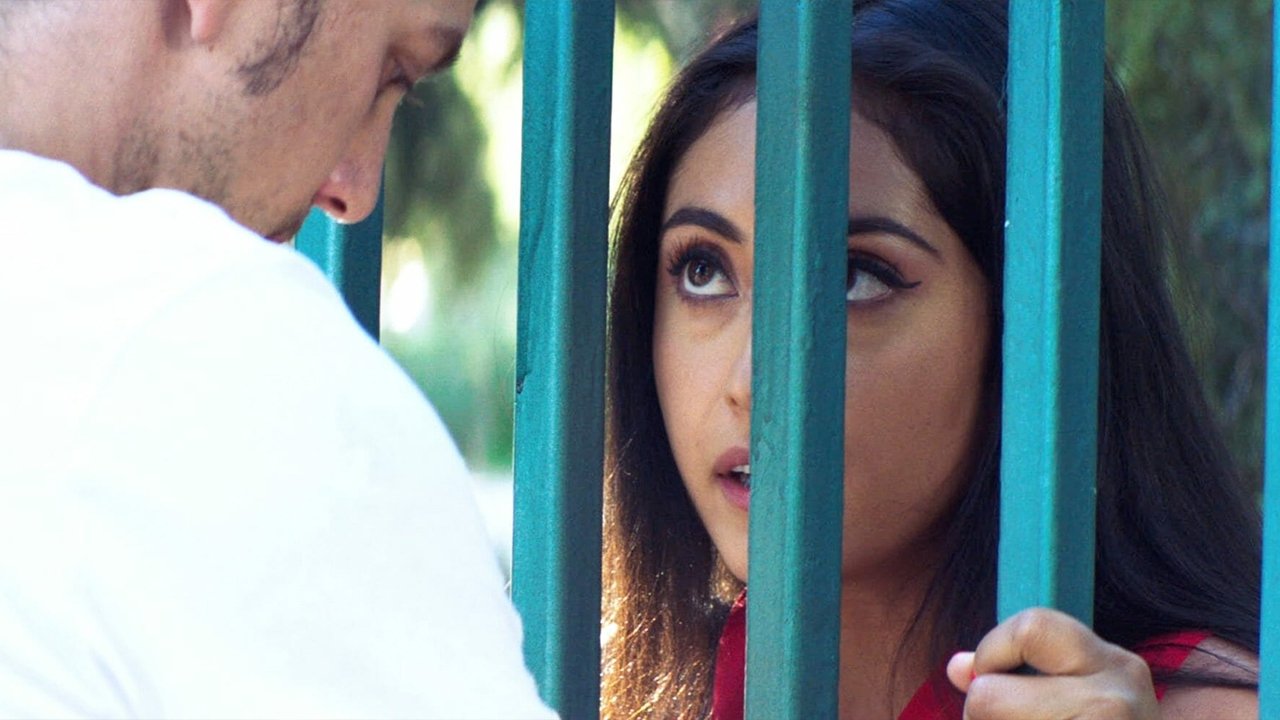 The Wall of Mexico backdrop