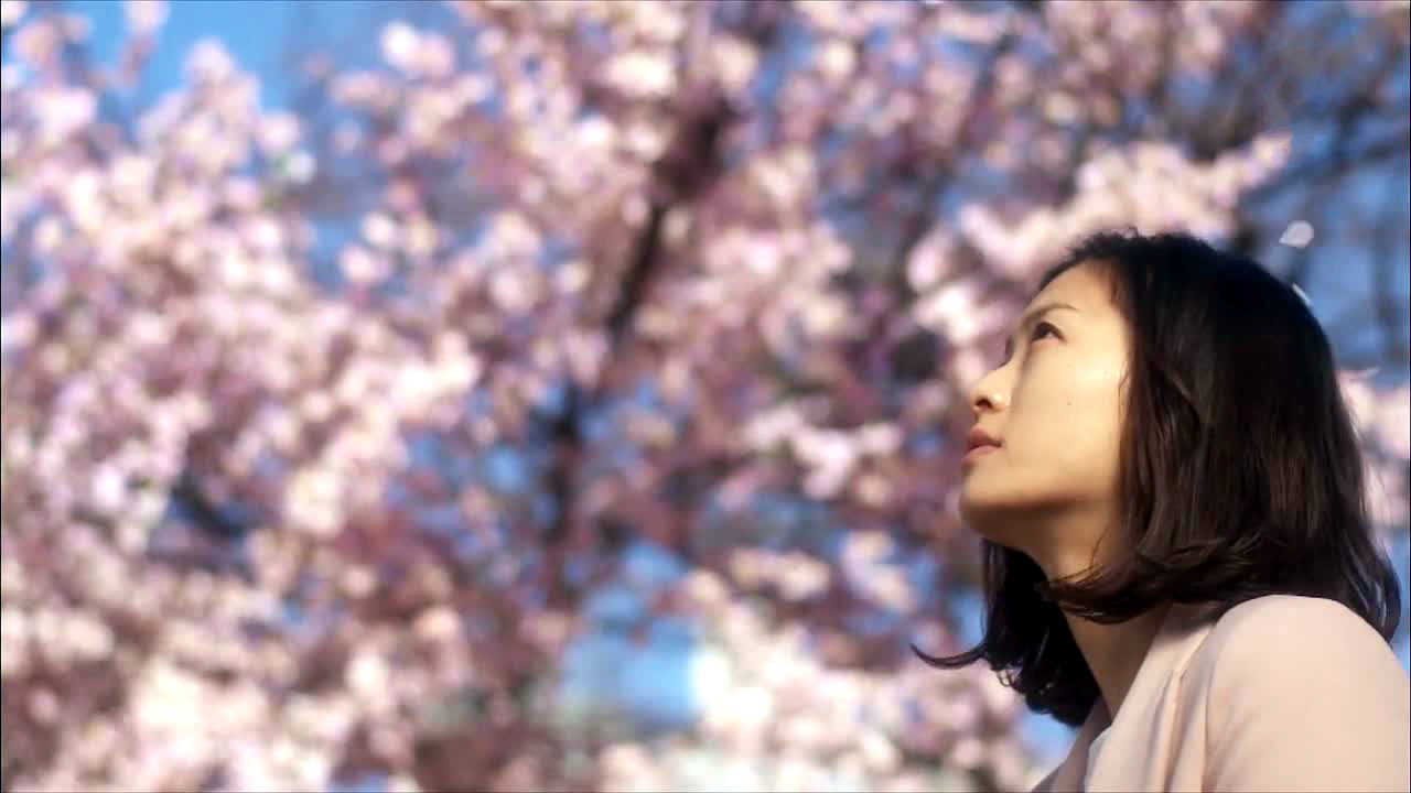 Testimony of N backdrop