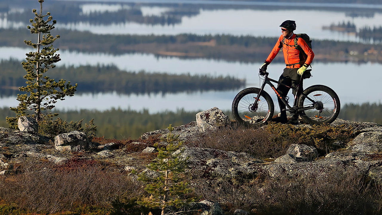 Peltsin Lappi backdrop