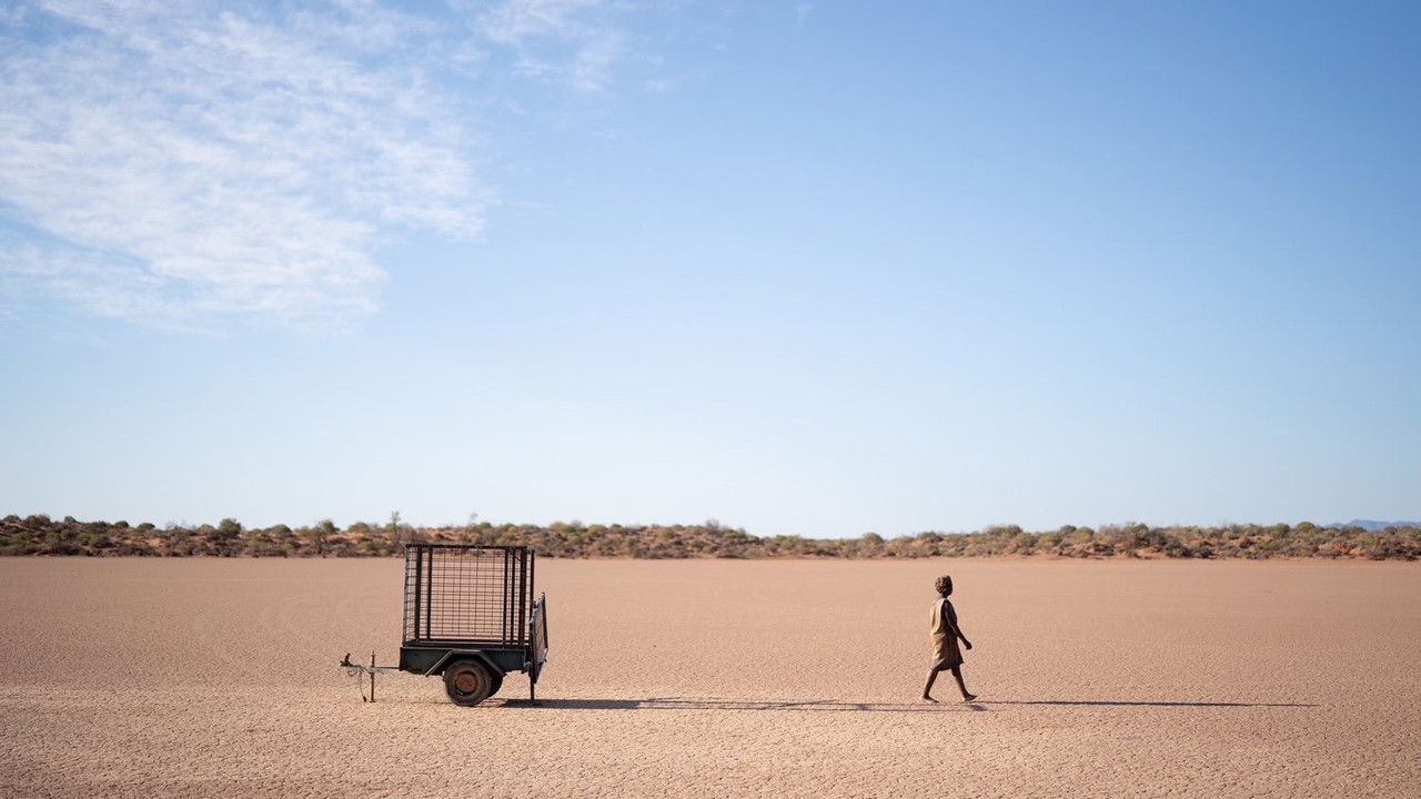 The Survival of Kindness backdrop