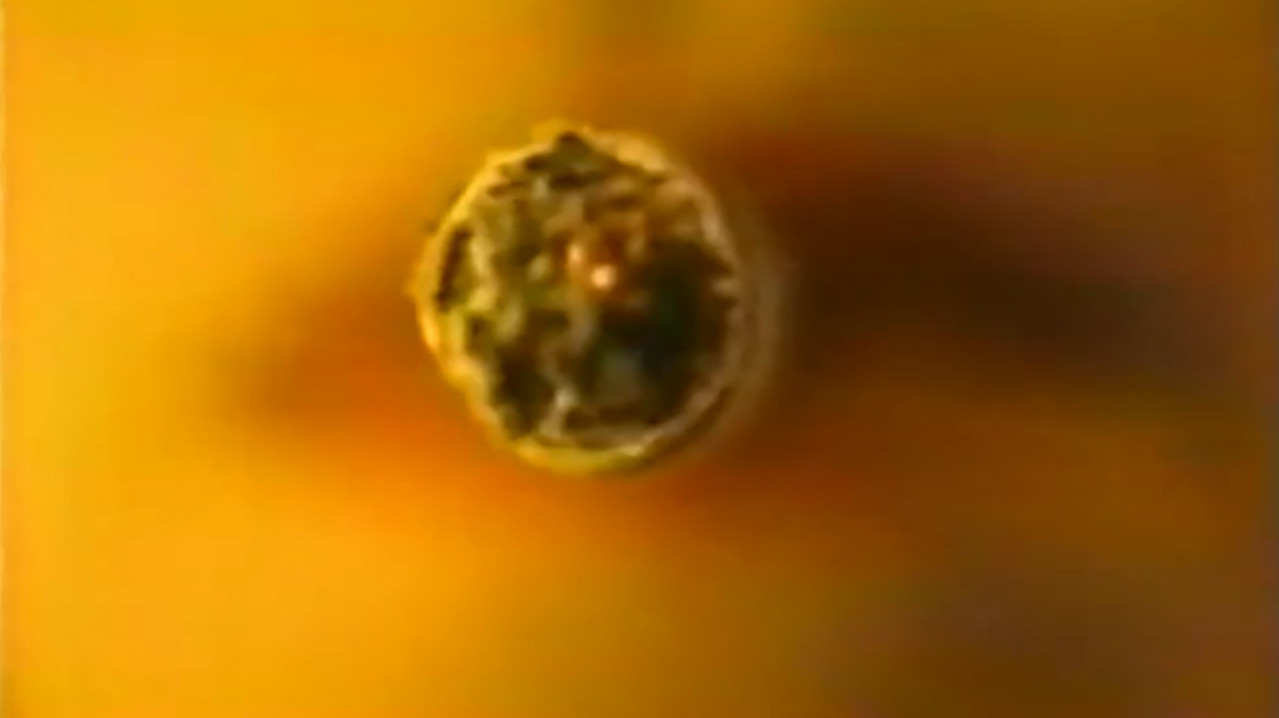 White Trash At Heart backdrop