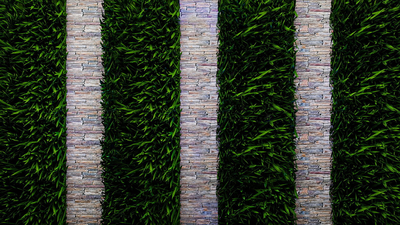 The Elle Duncan Show backdrop