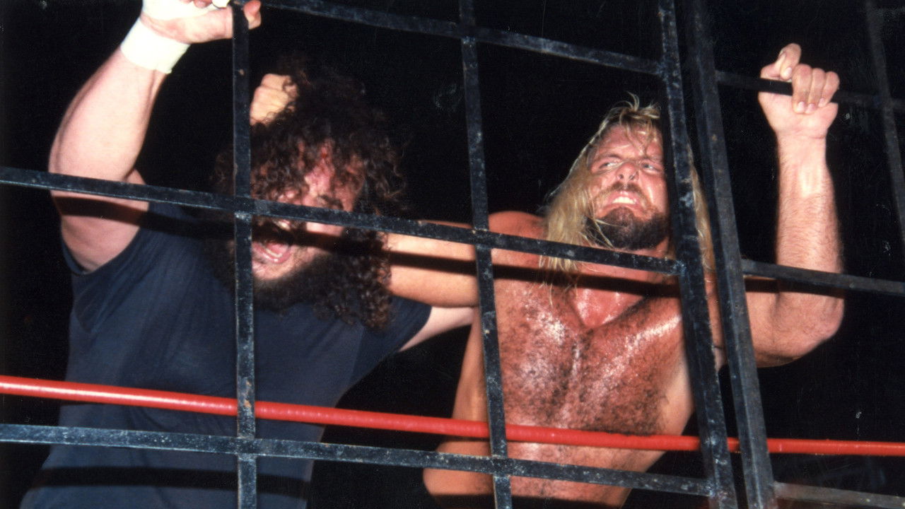 World Class Championship Wrestling backdrop