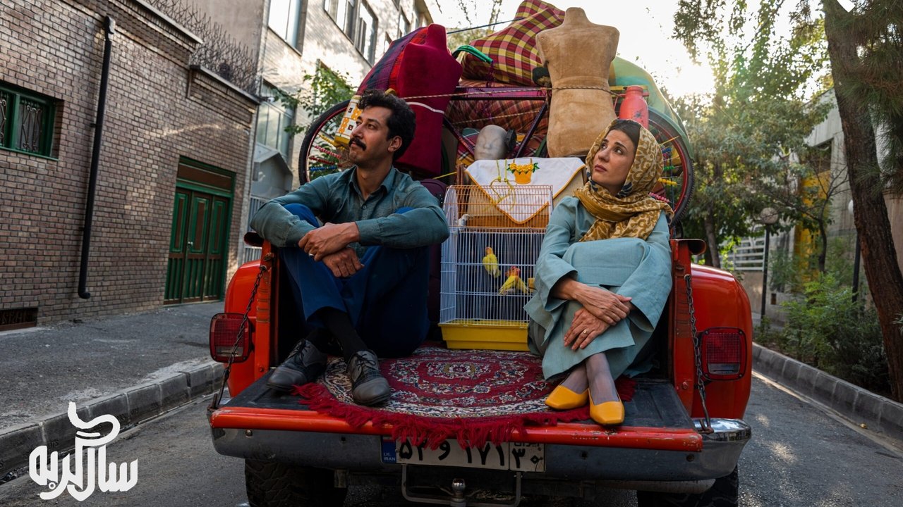 The Year of Cat backdrop