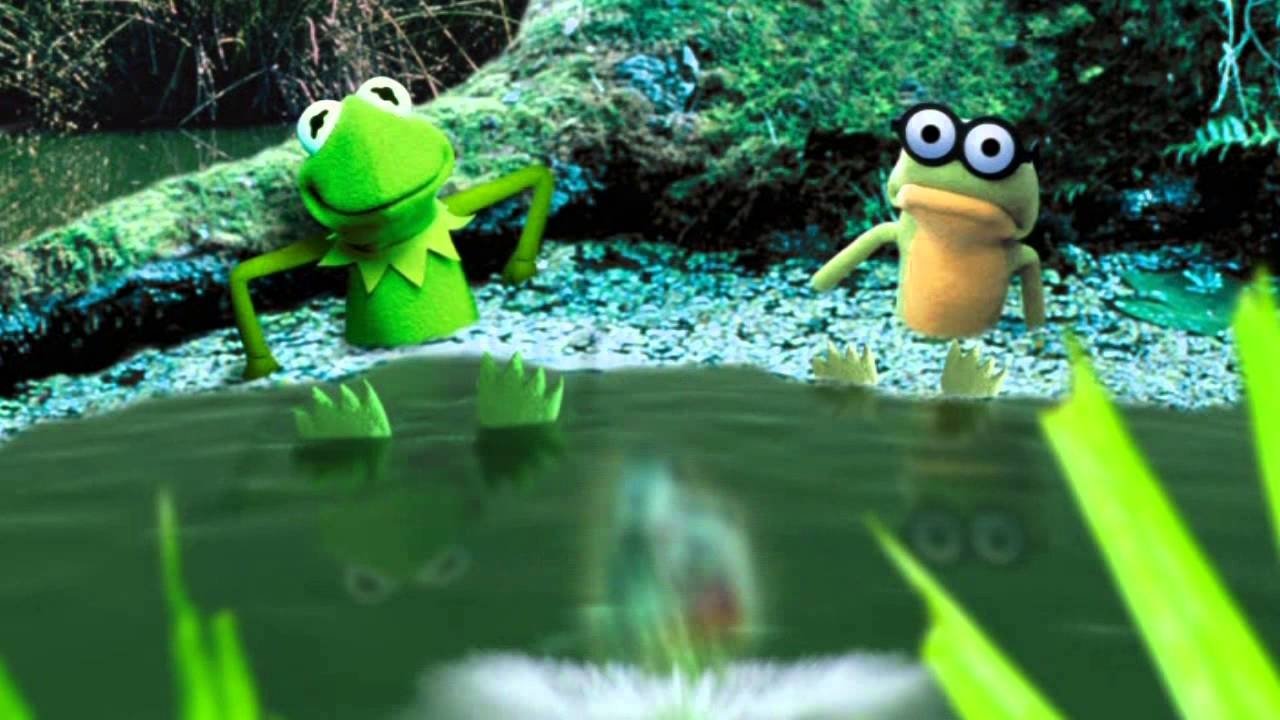 Kermit's Swamp Years backdrop
