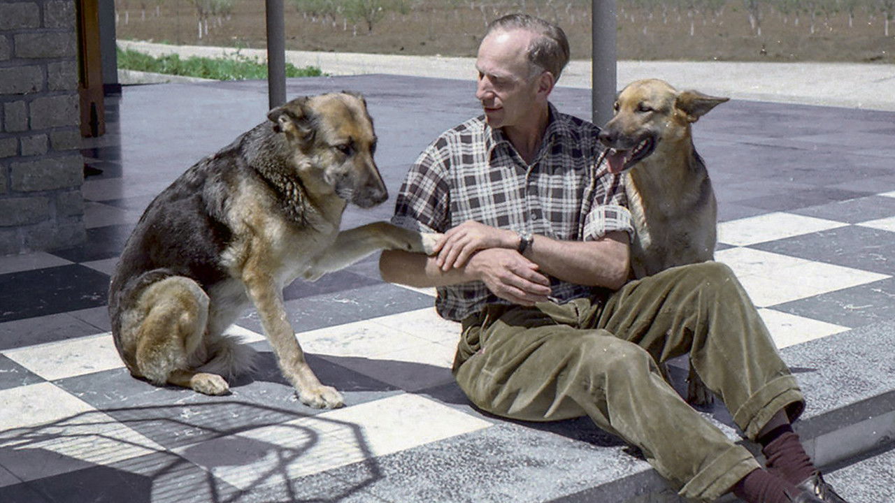 Colonia Dignidad backdrop