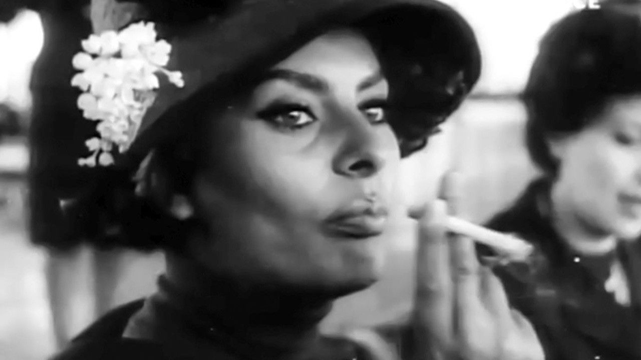 Looking for Sophia backdrop