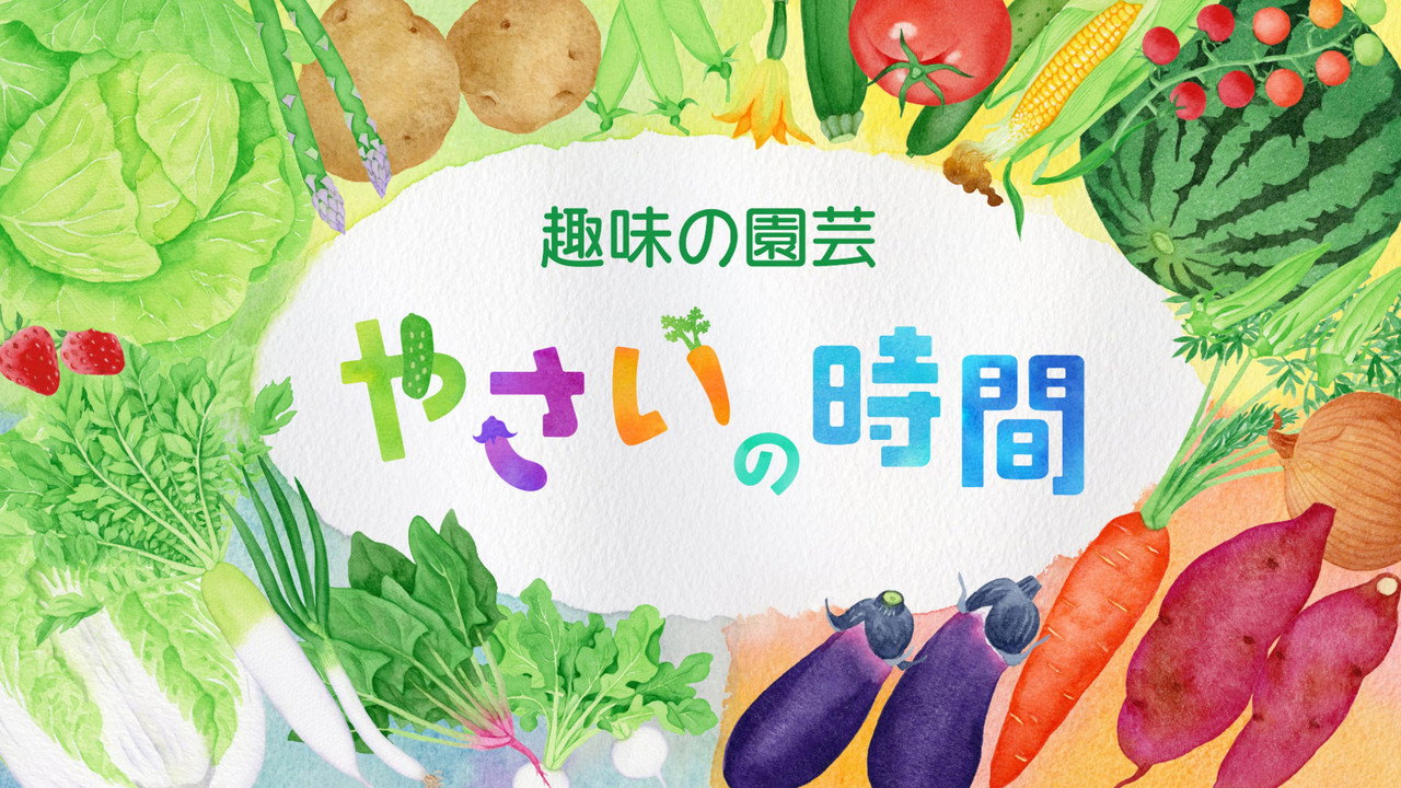 趣味の園芸 やさいの時間 backdrop