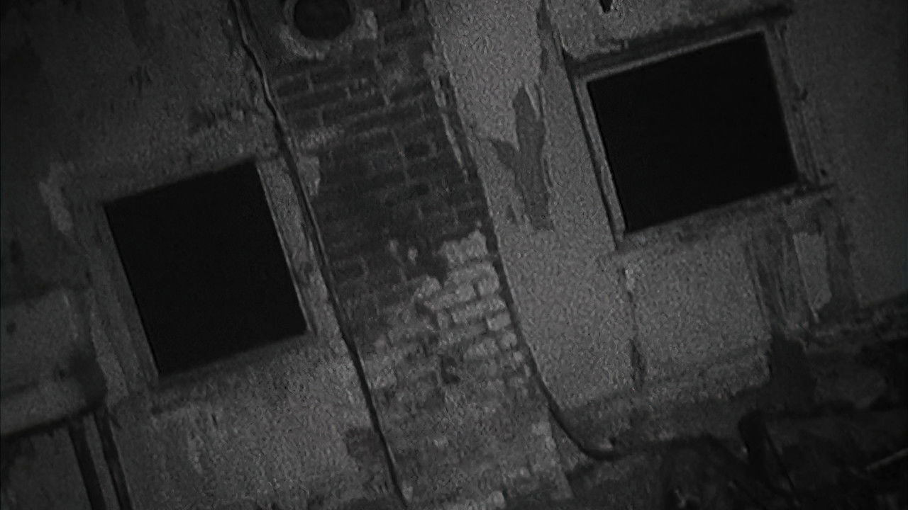 Shadow of the Blair Witch backdrop